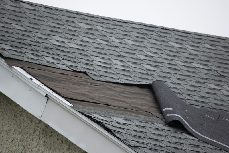How Asphalt Shingle Roof Repair Prevents Costly Water Damage